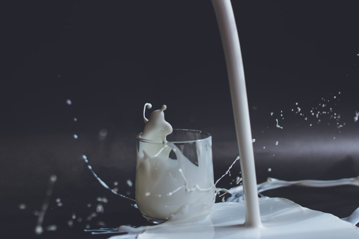 Milchprodukte und Ernährungsauswahl